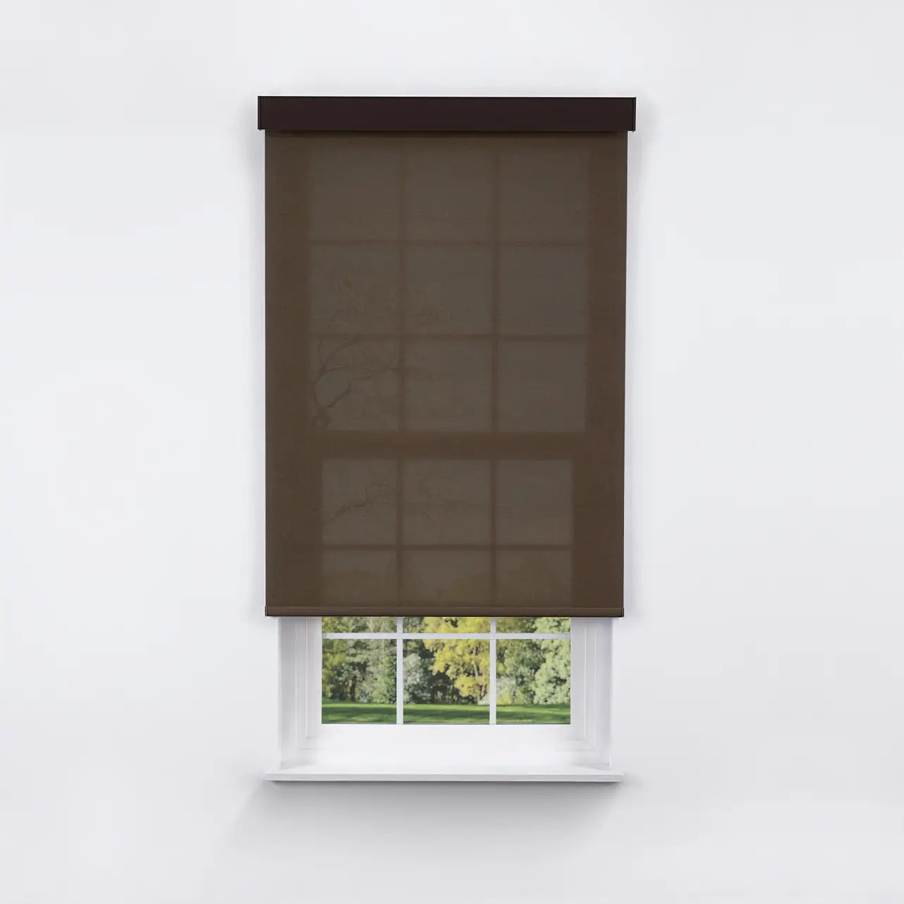 5% Solar Screen Roller Shade in coffee, front view on window with cassette headrail