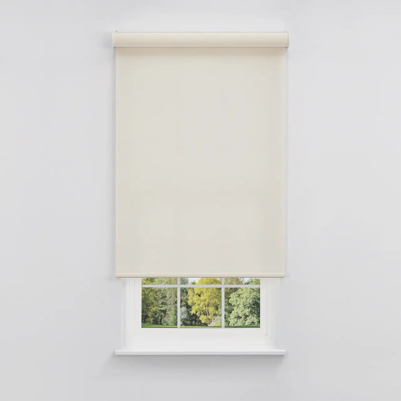 Coastal Light Filtering Roller Shade in Sandbar Cream, front view